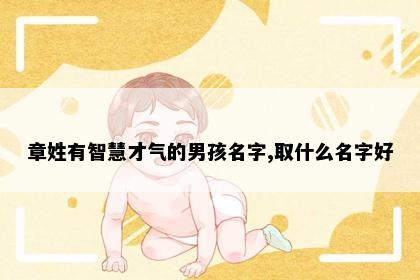 章姓有智慧才气的男孩名字,取什么名字好