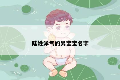 陆姓洋气的男宝宝名字