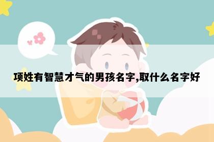 项姓有智慧才气的男孩名字,取什么名字好