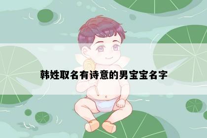 韩姓取名有诗意的男宝宝名字