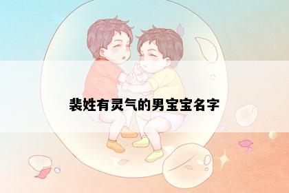 裴姓有灵气的男宝宝名字