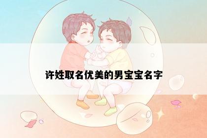 许姓取名优美的男宝宝名字