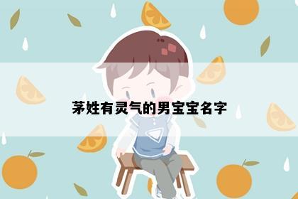 茅姓有灵气的男宝宝名字