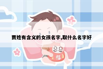 贾姓有含义的女孩名字,取什么名字好