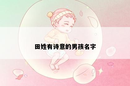 田姓有诗意的男孩名字
