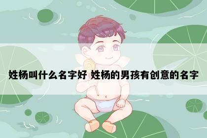 姓杨叫什么名字好 姓杨的男孩有创意的名字